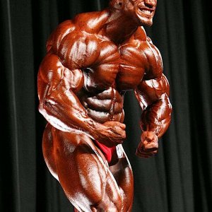 2010 Bodybuilding Images