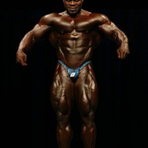 2010 Bodybuilding Images