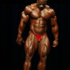 2010 Bodybuilding Images