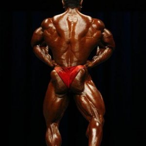 2010 Bodybuilding Images