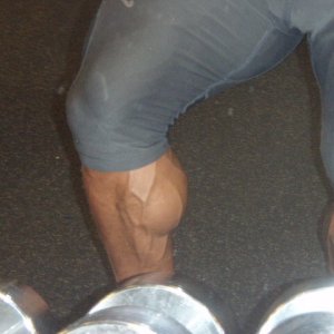 2010 Bodybuilding Images