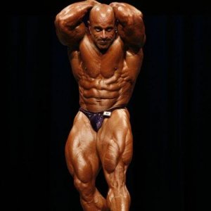 2010 Bodybuilding Images