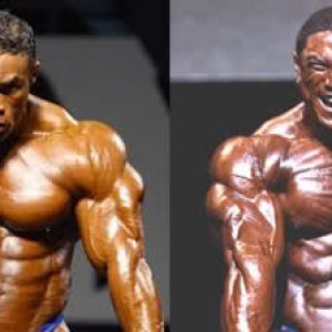 2010 Bodybuilding Images