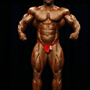 2010 Bodybuilding Images