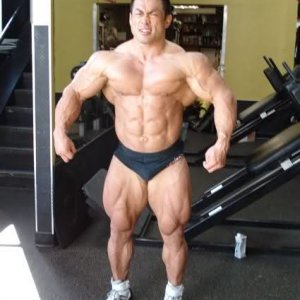 2010 Bodybuilding Images