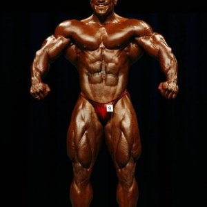 2010 Bodybuilding Images