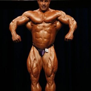 2010 Bodybuilding Images