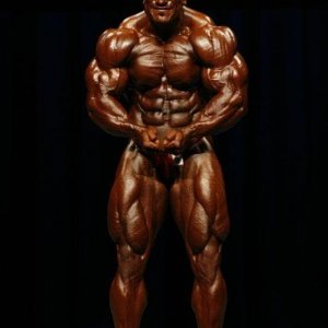 2010 Bodybuilding Images