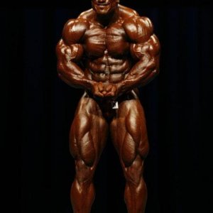 2010 Bodybuilding Images