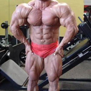 2010 Bodybuilding Images