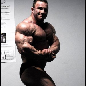 2010 Bodybuilding Images