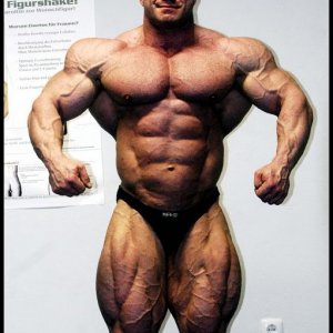 2010 Bodybuilding Images