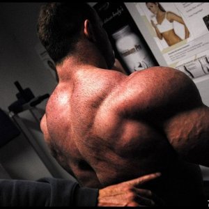 2010 Bodybuilding Images