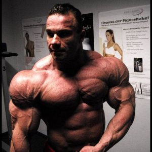 2010 Bodybuilding Images