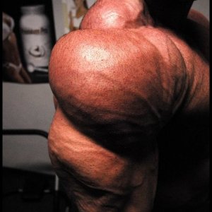 2010 Bodybuilding Images