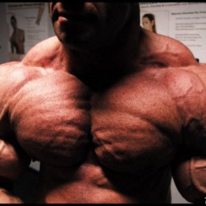 2010 Bodybuilding Images