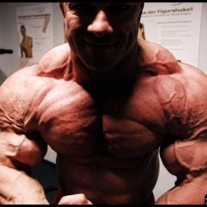 2010 Bodybuilding Images