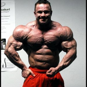 2010 Bodybuilding Images