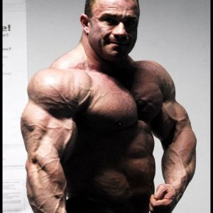 2010 Bodybuilding Images