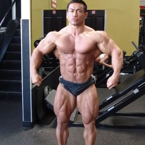 2010 Bodybuilding Images