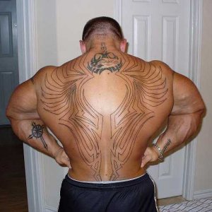 2010 Bodybuilding Images