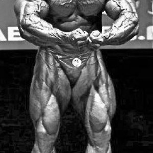 2010 Bodybuilding Images