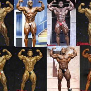 2010 Bodybuilding Images