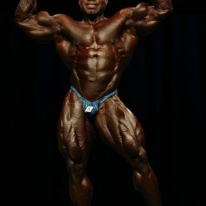 2010 Bodybuilding Images