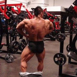 2010 Bodybuilding Images