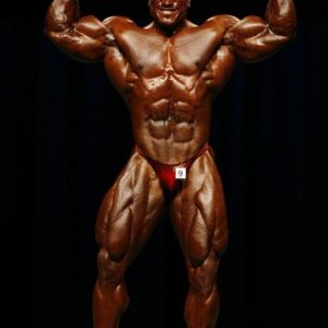 2010 Bodybuilding Images