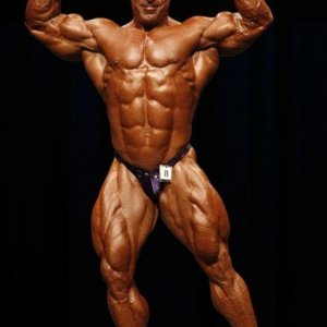 2010 Bodybuilding Images