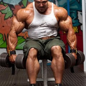 2010 Bodybuilding Images