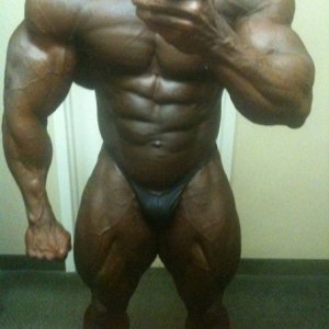 2010 Bodybuilding Images