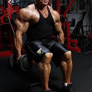 2010 Bodybuilding Images