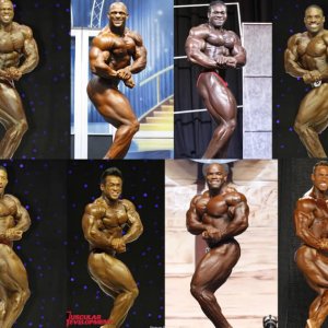 2010 Bodybuilding Images