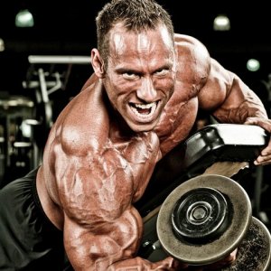 2010 Bodybuilding Images