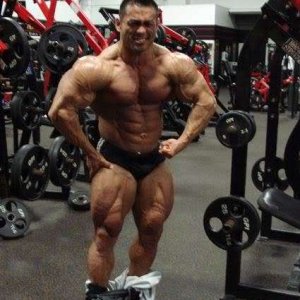 2010 Bodybuilding Images