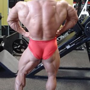 2010 Bodybuilding Images