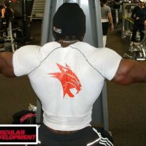 2010 Bodybuilding Images