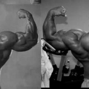 2010 Bodybuilding Images