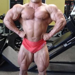 2010 Bodybuilding Images