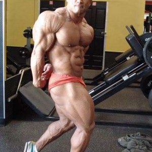 2010 Bodybuilding Images