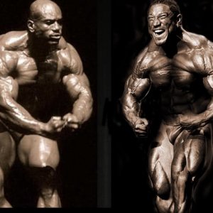 2010 Bodybuilding Images