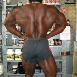 2010 Bodybuilding Images