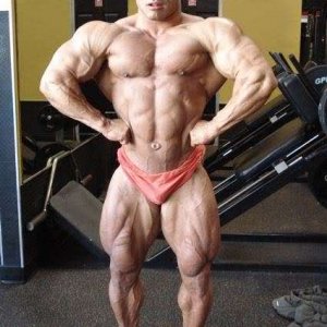 2010 Bodybuilding Images