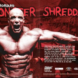 2010 Bodybuilding Images