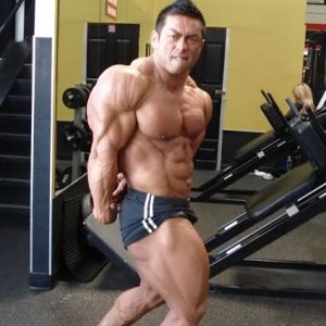 2010 Bodybuilding Images