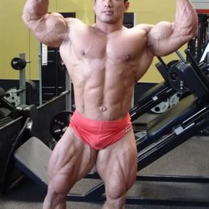 2010 Bodybuilding Images