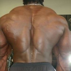 2010 Bodybuilding Images