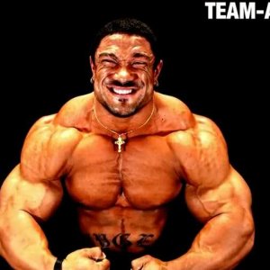 2010 Bodybuilding Images